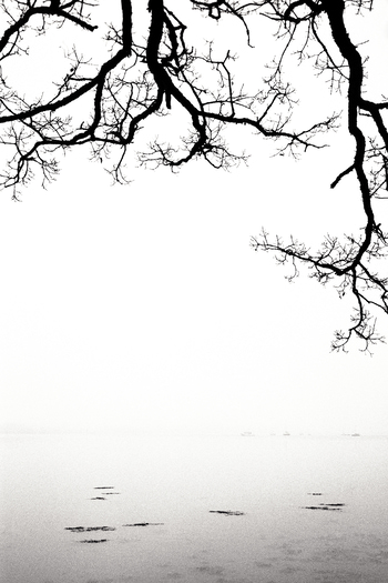 Vannes by Lise Hébuterne