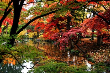 Morioka by Lise Hébuterne