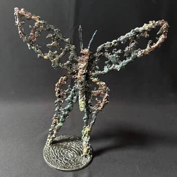 Papillon 56-25 by Philippe Buil