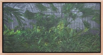 Les serres d'Auteuil XII by Eric Mercier