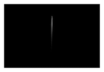 Black and White II by Tal Paz-Fridman