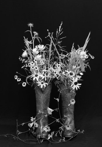 Spirit of Texas bw by ZIESOOK YOU