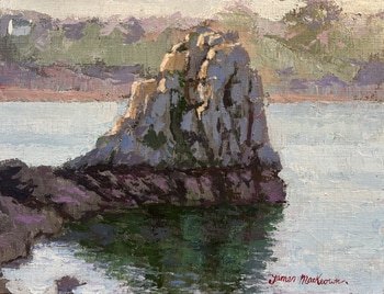 La roche aux oiseaux  by James MacKeown