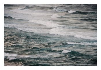 Winter Surfing V par Tal Paz-Fridman