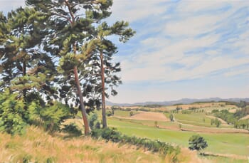 June 24, summer light, Velay Mountains par Anne Baudequin