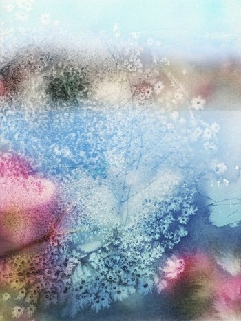 Speio par Jérôme Pergolesi