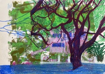 OPT2 par Renata Fernandez