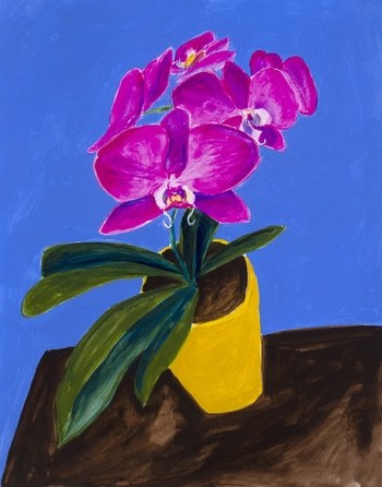 Pink Orchid Flower by Michael Pfleghaar