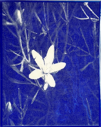 True Blue, presented by Public Notice by Kevin McEleney