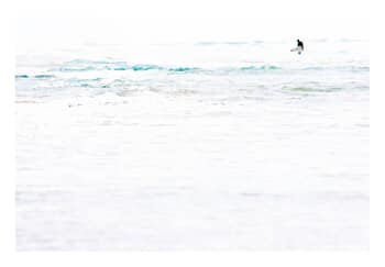 Surfer von Tal Paz-Fridman