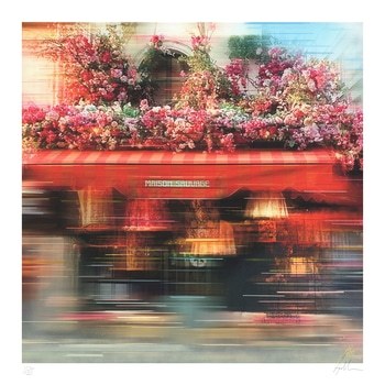 Maison Sauvage by Anil Mistry