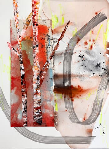 Birch Abstractions 01 by Poovi Art