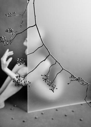 Autumnal Resonance - VI by Xidong Luo