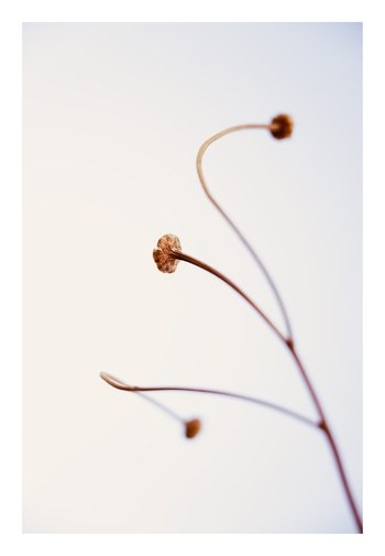 In light of current events VIII von Tal Paz-Fridman