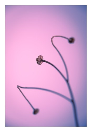 In light of current events VI von Tal Paz-Fridman