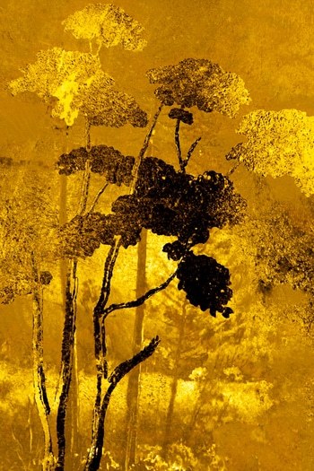 Pin Oro  par Rodolphe Martinez