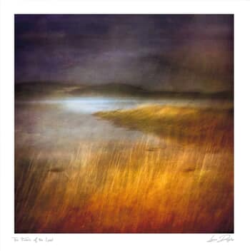 Fabric of the Land II by Lynne Douglas