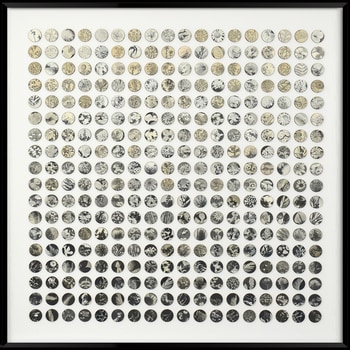 Three Hundred And Twenty Monochrome Botanical Dots Collage by Amelia Coward