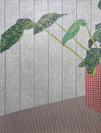 Houseplant Study 3  by Clare Halifax