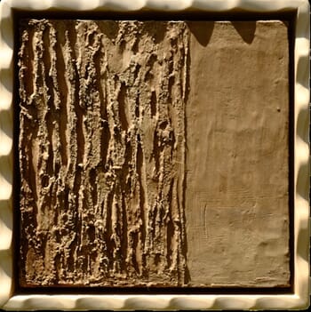 Despite all odds von Visceral Home