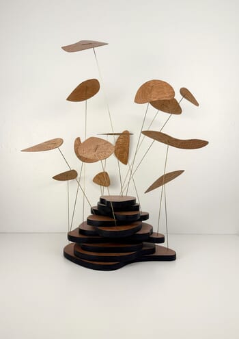 Topographie d'une canopée par Amicie de Bouteiller