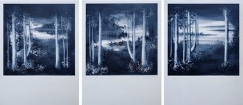 And I slip like the stars into obscurity von Nadege Druzkowski