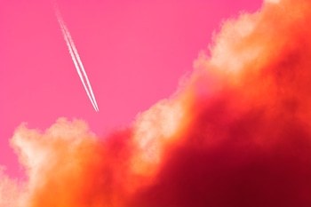 Escape von Tal Paz-Fridman