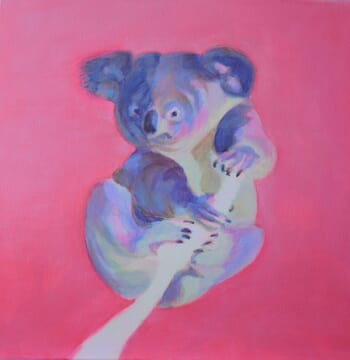 Koala by Christelle Zacchero