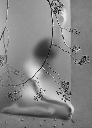 Autumnal Resonance - VII by Xidong Luo