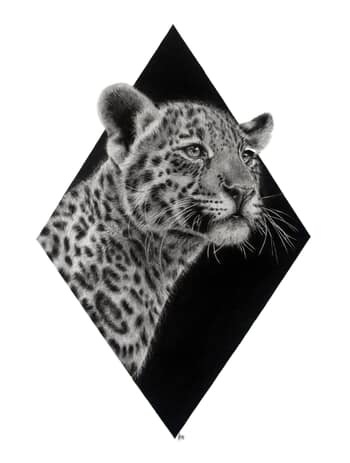 Bébé Jaguar by MagLM