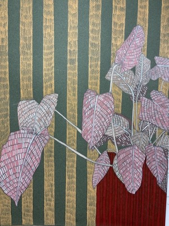 House Plant Study 2  by Clare Halifax