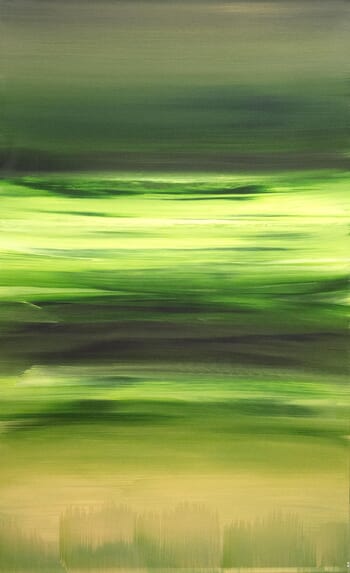 Fields of Serenity par Paresh Nrshinga - FRSA