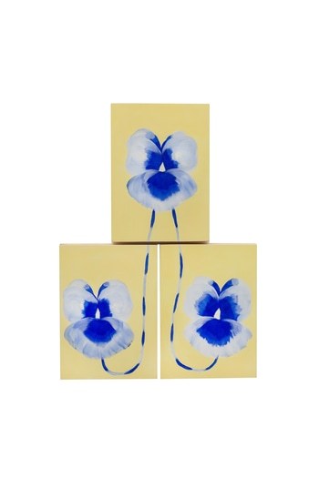 Butter Pansy (Triptych) par Georgia Beaumont