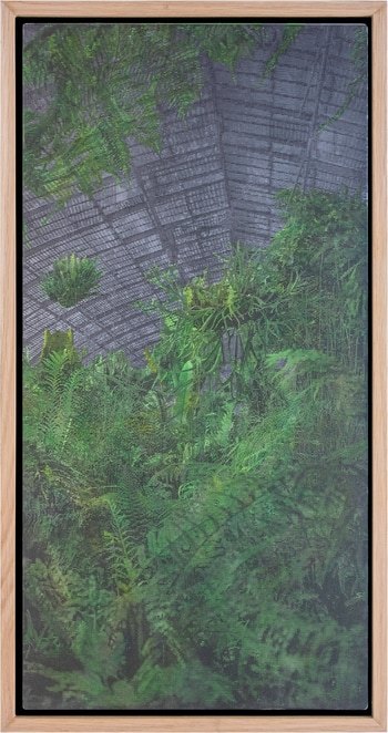 Les serres d'Auteuil XIV by Eric Mercier