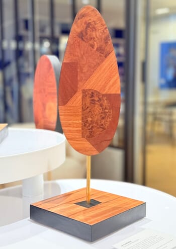 L'éclaireur par Amicie de Bouteiller