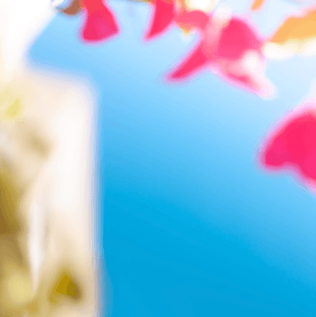 Soft Sea Flower 59 - Summer by Bruno Houdayer