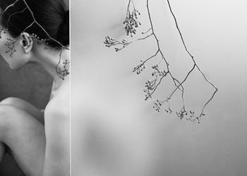 Autumnal Resonance - IX by Xidong Luo