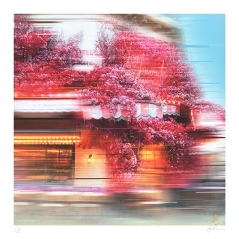 La Favorite Saint-Paul by Anil Mistry