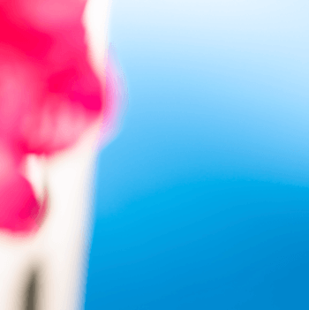 Soft Sea Flower 57 - Summer by Bruno Houdayer