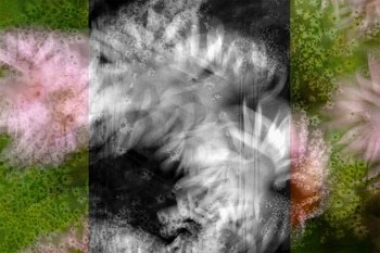 Antiope by Jérôme Pergolesi