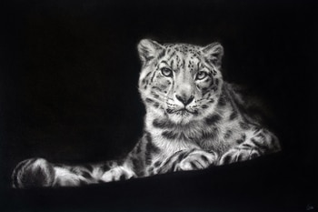 L'esprit des cimes von MagLM