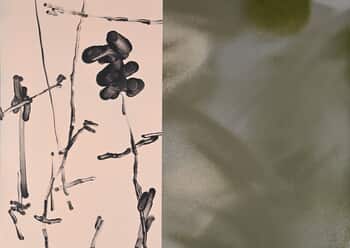 Haar Doused Scrub par Euphrosyne Andrews & Daniel Fletcher