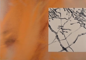 Amongst Fiery Fronds par Euphrosyne Andrews & Daniel Fletcher