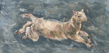 Flying to the dream by Iryna Besarab