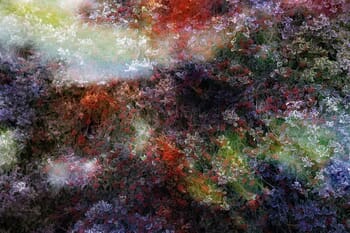 The power of dreams by Viet Ha Tran