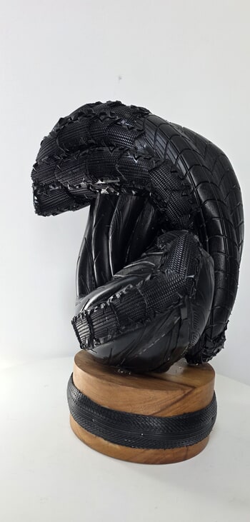 La mystèrieuse by Laure Polin