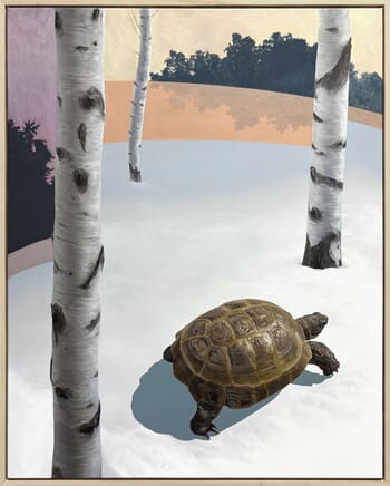 Can't See the Wood for the Trees by Joshua Daniels