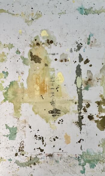 Mirage  by Javiera da Fonseca Ilic