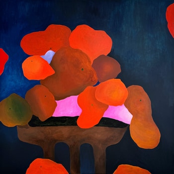 The sudden gravity of ripe things by Leila Lallali