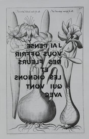 J'ai pensé vous offrir des fleurs et les oignons qui vont avec by Adeline GAFFEZ